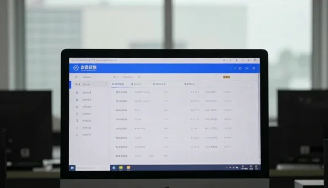 系统集成中的技术转让实践与维护建议